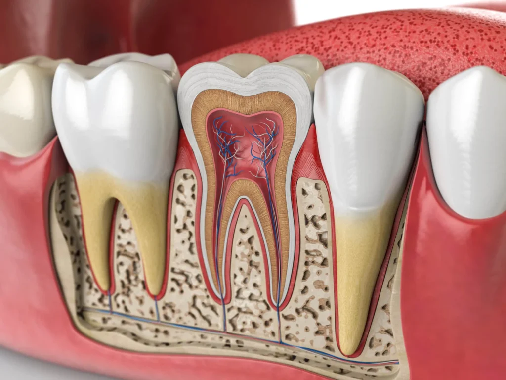 Root Canals at Smile Bar and Aesthetics in Orland Park IL